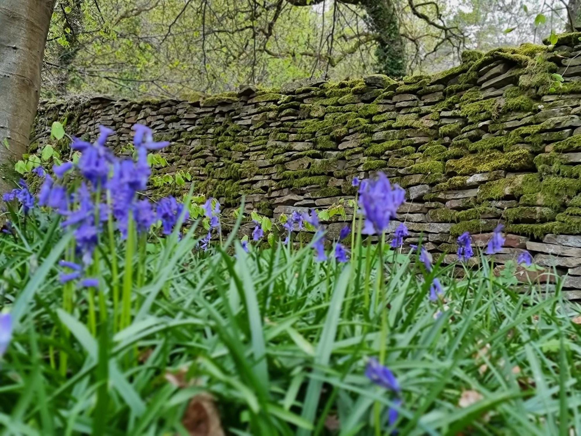 Danby Lodge Lydney Bagian luar foto