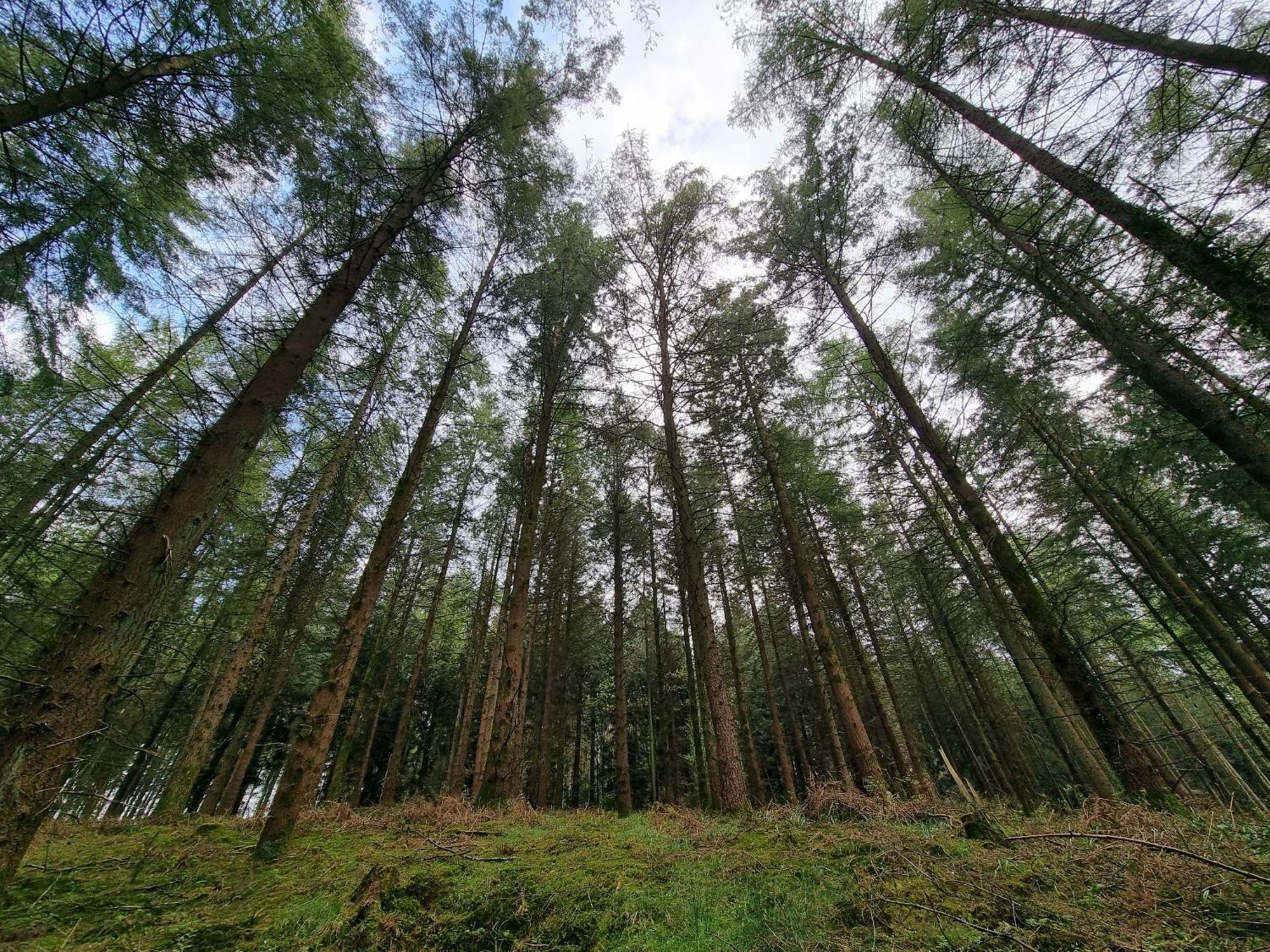 Danby Lodge Lydney Bagian luar foto